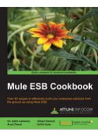 Mule ESB Cookbook - Java