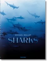 Michael Muller. Sharks - Фотография