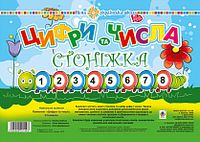 Комплект. Цифри та числа. Стоніжка. НУШ