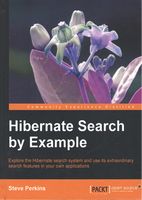 Hibernate Search by Example