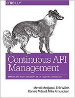 Continuous Management API: Making the Right Decisions in an Evolving Landscape 1st Edition - Разработка програмного обеспечения