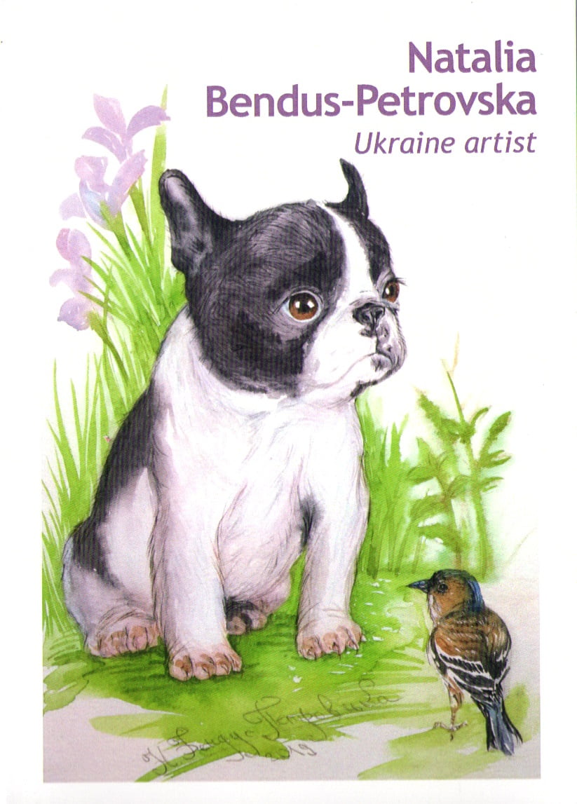 Набір листівок The Dogs - Набор почтовых открыток