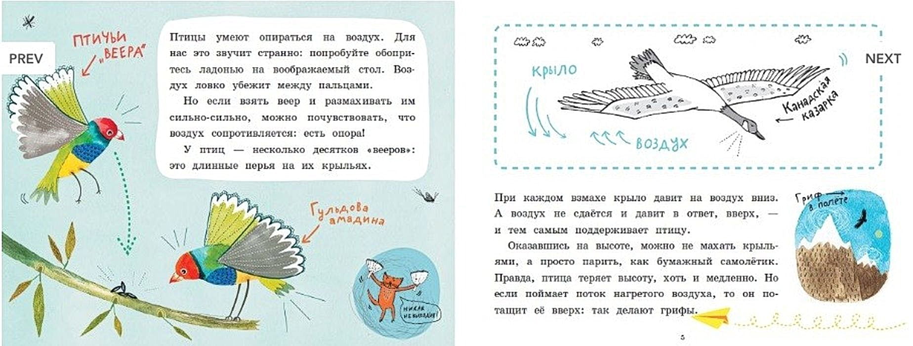 почему птицы не падают книга. почему птицы не падают. почему птицы не падают. почему птицы не падают колмановский. почему птицы не падают.