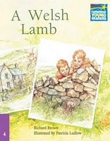 CSB 4 A Welsh Lamb