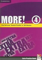 More! Level 4 Extra Practice Book - More!