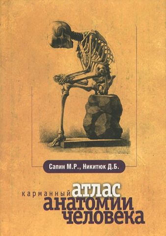 Кишеньковий атлас анатомії людини. 6-е изд., перероб. і доп. - фото 1