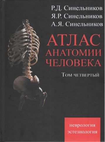 Атлас анатомії людини. В 4 томах. Том 4. Вчення про нервову систему і органи почуттів - фото 1