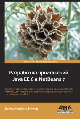 Розробка додатків Java EE 6 в NetBeans 7 - фото 1