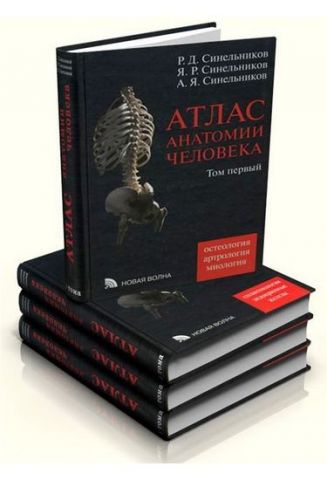 Атлас анатомії Синельникова в 4-х т. т - фото 1