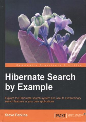 Hibernate Search by Example