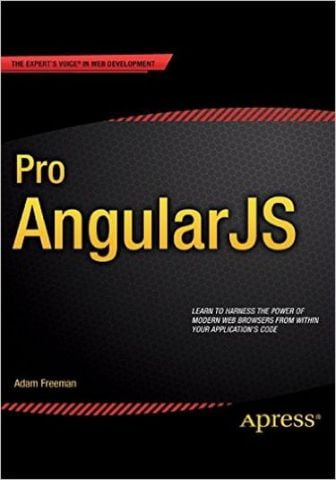 Pro AngularJS - фото 1