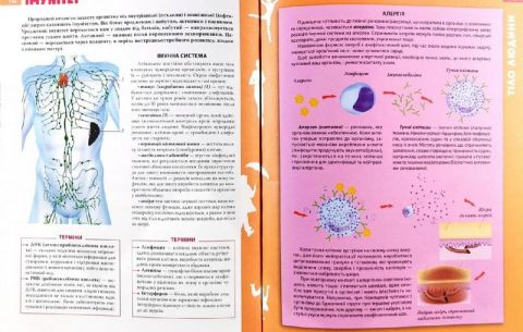 Енциклопедія необхідних знань школяра - фото 8