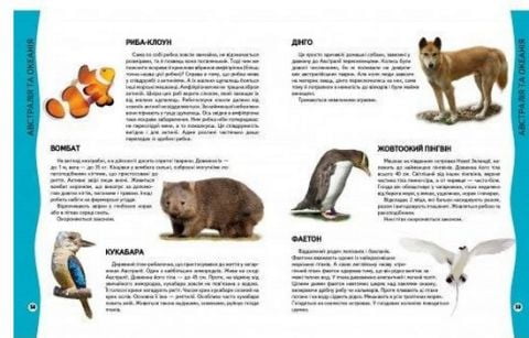  Енциклопедія тварин (із золотим тисненням) - фото 4