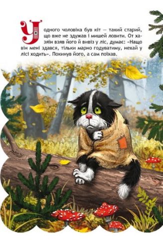 Пан Коцький. - фото 2