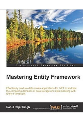 Mastering Entity Framework - фото 1