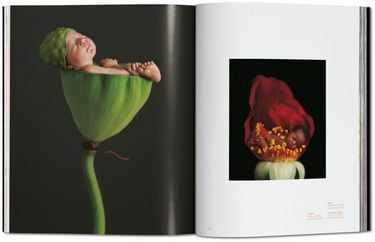 ANNE GEDDES, SMALL WORLD - FO(HC - фото 5