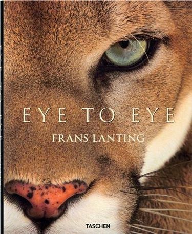 Lanting, Eye to Eye - фото 1