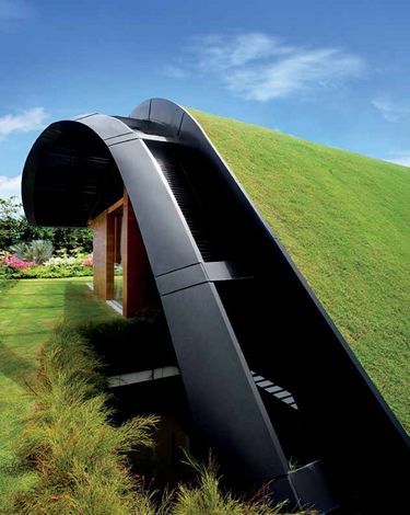 ECO HOUSE. Green roofs and vertical gardens - фото 4