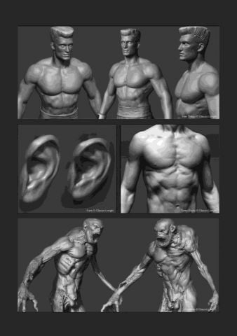 Anatomy for 3D Artists: The Essential Guide for CG Professionals - фото 6