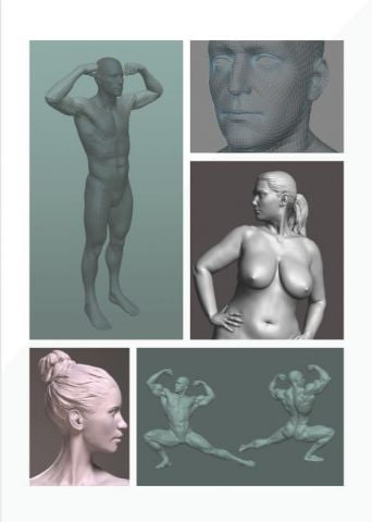 Anatomy for 3D Artists: The Essential Guide for CG Professionals - фото 7