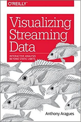 Visualizing Streaming Data: Interactive analysis beyond static limits 1st Edition - фото 1