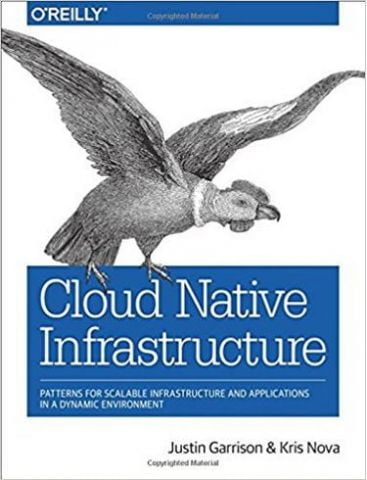 Cloud Native Infrastructure: Patterns for Scalable Infrastructure and Applications in a Dynamic Environment 1st Edition - фото 1