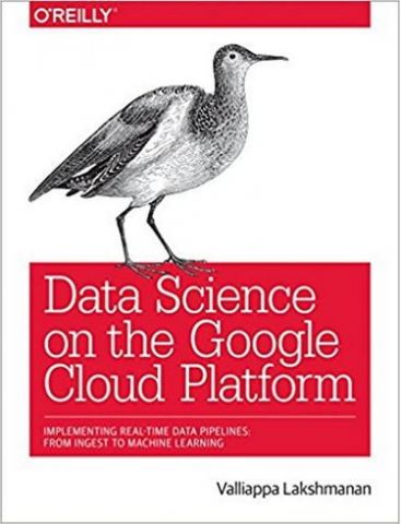 Data Science on the Google Cloud Platform: Implementing End-to-End Real-Time Data Pipelines: From Ingest to Machine Learning 1st Edition - фото 1