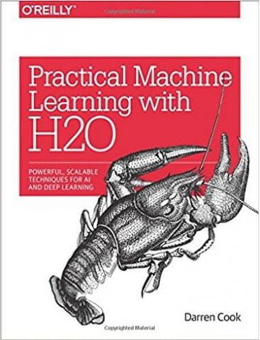 Practical Machine Learning with H2O: Powerful, Scalable for Deep Learning and AI 1st Edition - фото 1