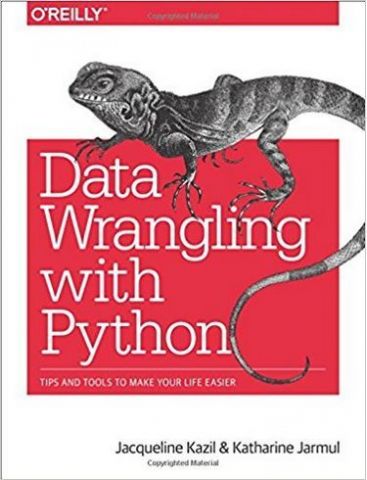 Data Wrangling with Python: Tips and Tools to Make Your Life Easier 1st Edition - фото 1