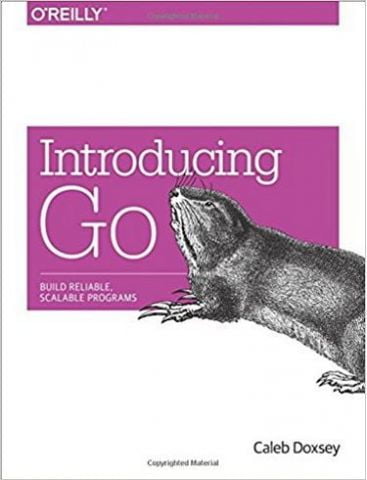 Introducing Go: Build Reliable, Scalable Programs 1st Edition - фото 1