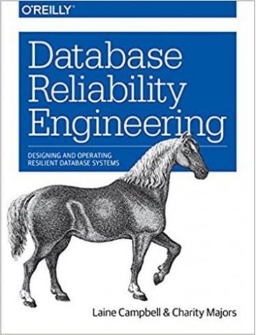 Database Reliability Engineering: Designing and Operating Resilient Database Systems 1st Edition - фото 1