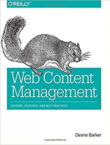 Web Content Management Systems, Features and Best Practices 1st Edition - фото 1