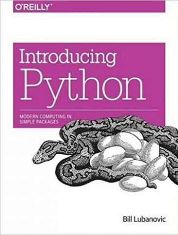 Introducing Python: Modern Computing in Simple Packages 1st Edition - фото 1