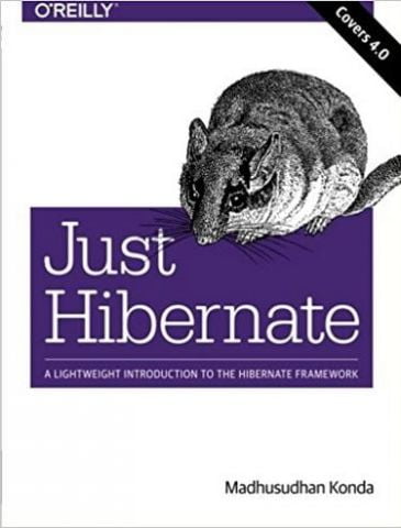 Just Hibernate: A Lightweight Introduction to the Hibernate Framework 1st Edition - фото 1