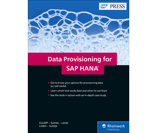 Data Provisioning for SAP HANA - фото 1