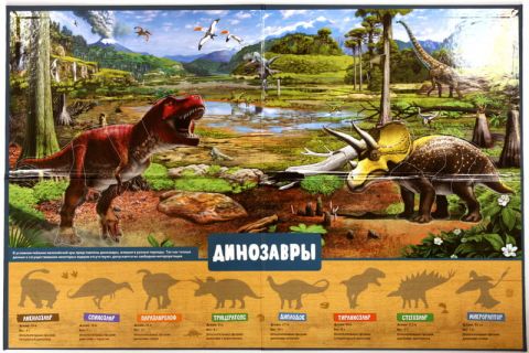 Динозаври. Дитяча енциклопедія (в коробці) - фото 6