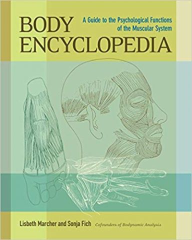 Body Encyclopedia: A Guide to the Psychological Functions of the Muscular System - фото 1