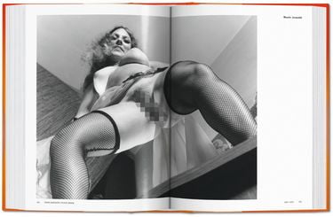 Big Book of Pussy - фото 2