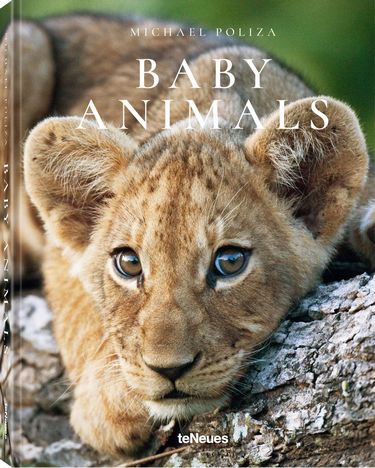 Michael Poliza, Baby Animals - фото 1