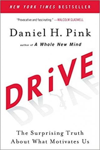 Drive: The Surprising Truth About What Motivates Us - фото 1