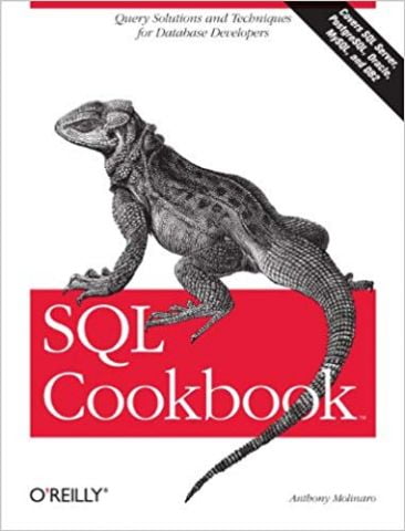 SQL Cookbook: Query Solutions and Techniques for Database Developers - фото 1