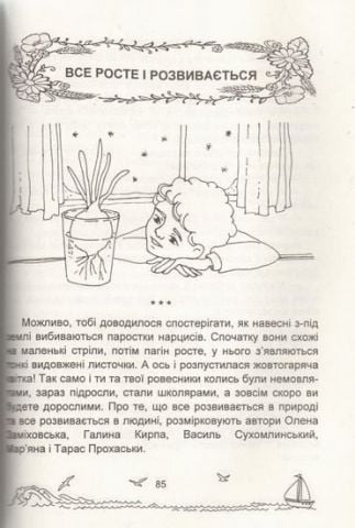 Сонячні вітрила. Книжка для додаткового читання. 2 клас - фото 3