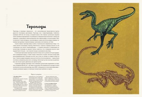 Динозавриум - фото 5