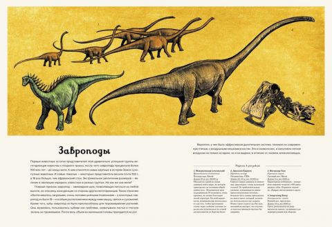 Динозавриум - фото 4