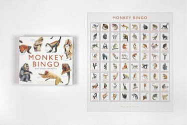 Monkey Bingo: And Other Primates (Magma for Laurence King) - фото 4