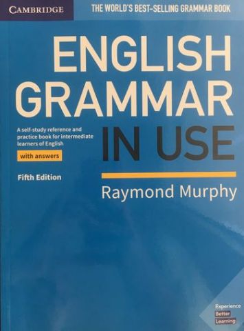 English Grammar in Use - фото 1