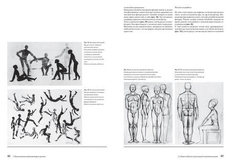 Образ человека. Учебник и практическое руководство по пластической анатомии для художников - фото 2