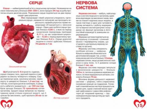Велика книжка. Анатомія людини - фото 3