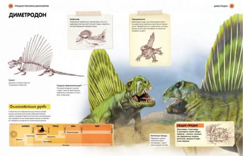 Все про динозаврів - фото 3