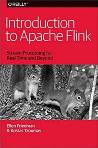 Introduction to Apache Flink: Stream Processing for Real Time and Beyond 1st Edition - фото 1